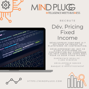 Développeur wanted, développement d'une plateforme de contribution, Mindplugg
